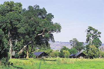 governors bateleur masai mara kenya